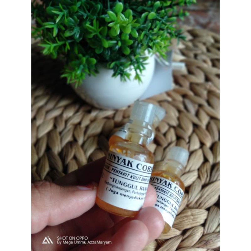 Minyak Ular Cobra (obat gatal kulit)
