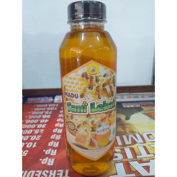 

MADU MURNI TANI LEBAH MULTIFLORA (700gr)
