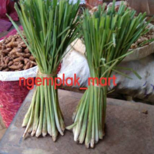 

Daun Sereh Serai segar organik bumbu dapur 250gram