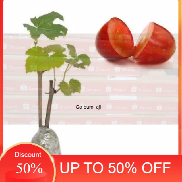 

Anggur merah tanpa biji