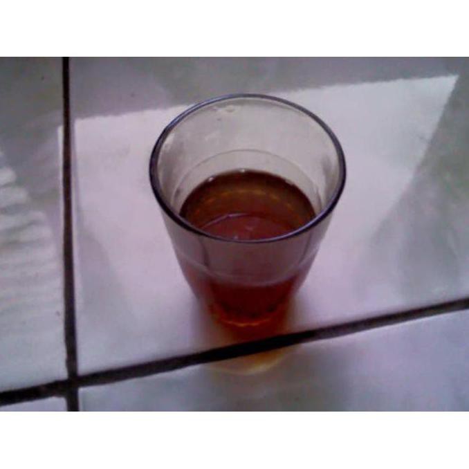 *_$ Bibit Zaitun Ny4R