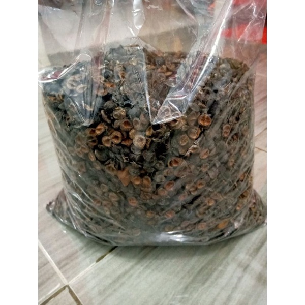 

kulit buah gaharu obat herbal