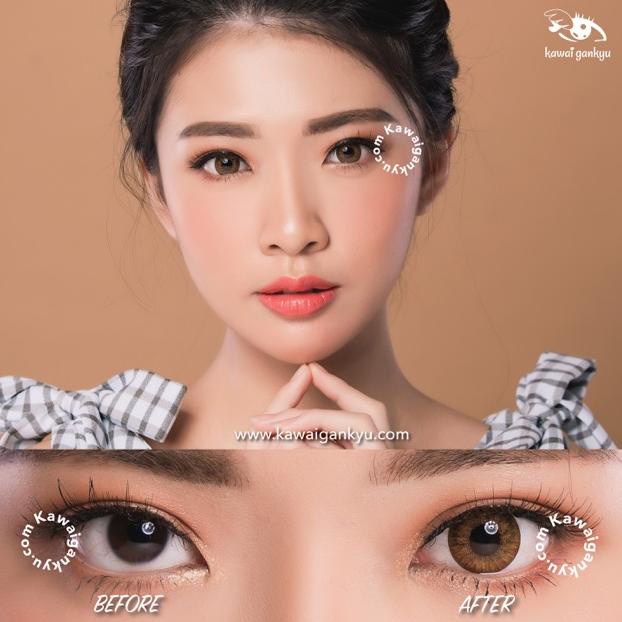 Kawai Gankyu Softlens Voxie Phoenix Brown