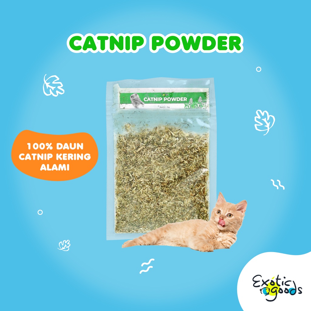 CATNIP POWDER BIKIN KUCING FLY CAT MINT SERBUK CATNIP DAUN CATNIP BUBUK CATNIP KUCING MAKANAN KUCING