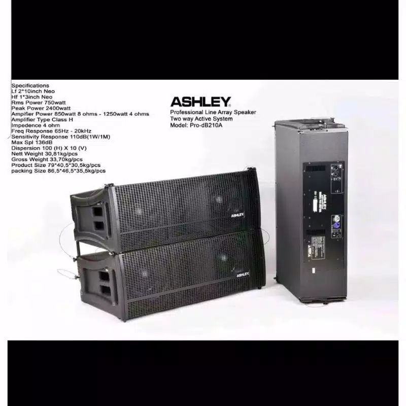 Speaker Line Array Ashley PRO dB210A Two Way Aktif 10 inch