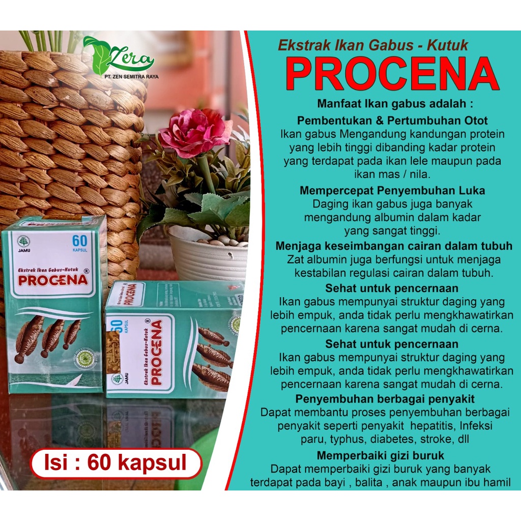 PROCENA EXTRA IKAN GABUS