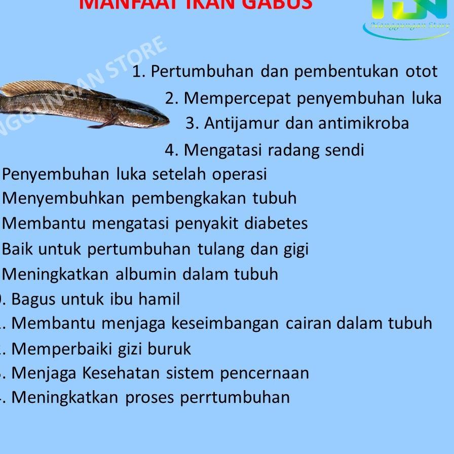 

EK7YE5998 Susu Tulang Dan Sendi Penggemuk Badan Dewasa Anak Orang Tua Lansia Bayi Patah Keropos Permanen BPOM