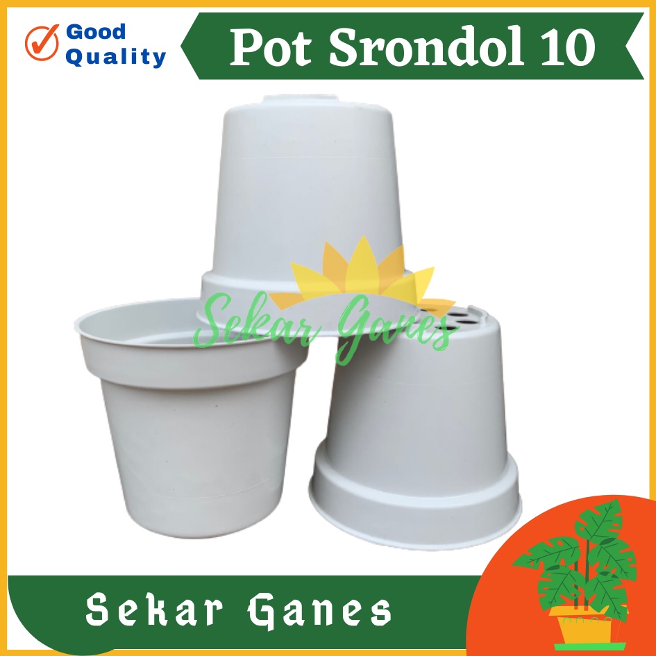 POT BUNGA 10cm PUTIH Pot Tanaman Hias Grosir Murah Plastik Pot 10 cm MURAH