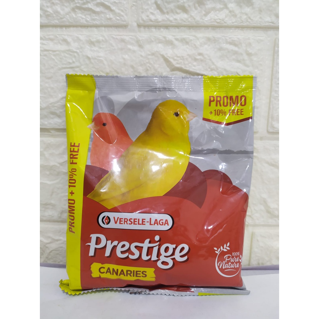 Prestige Kenari Import Belgium Versele Laga