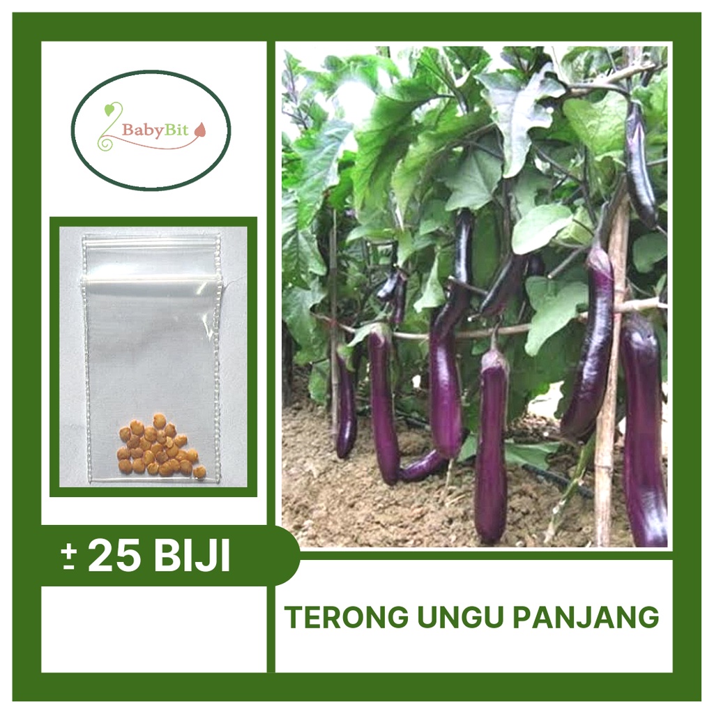 Benih Terong Ungu Panjang Hibrida F1 TANGGUH