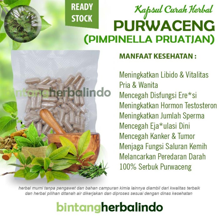PURWACENG 100 Kapsul Curah Herbal Jamu Kuat Pria Vitalitas Libido ED