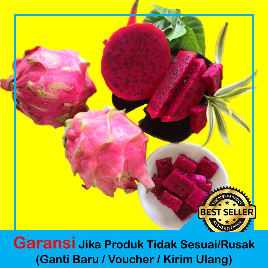 

BUAH NAGA JUMBO | BUAH NAGA PREMIUM