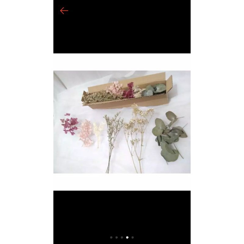 

Dried Flower Mix - Dry flower mix - Bunga kering