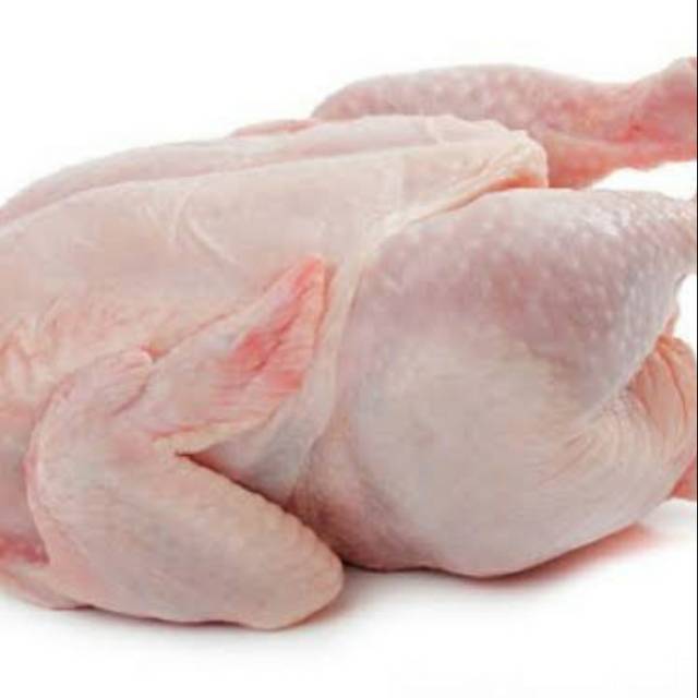 

Ayam karkas ukuran 1,1kg