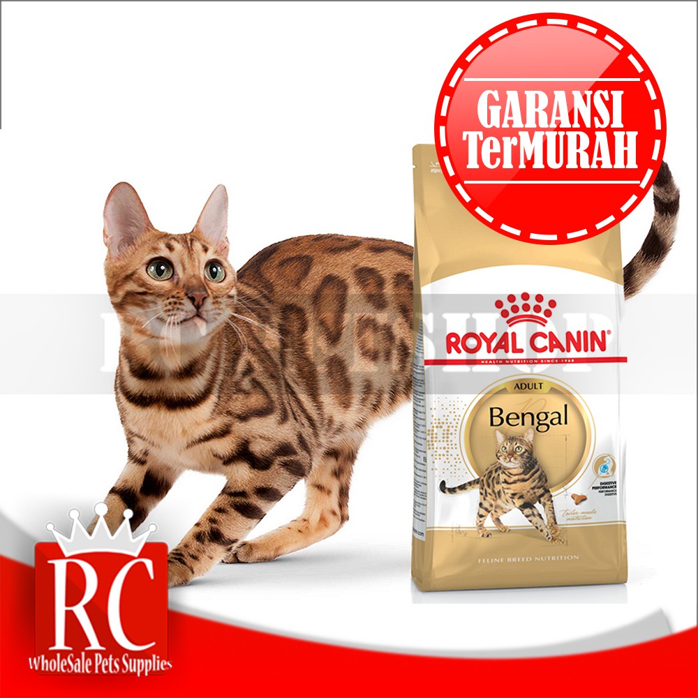 Makanan Kucing Dewasa Cat Food Royal Canin Bengal Adult 400 Gram