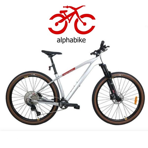 SEPEDA GUNUNG MTB 29 PATROL C092 CARBON S FOCUS SILVER NEW 2021
