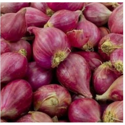 

Bawang Merah Organik 300g / Red Onion / Shallot 300g