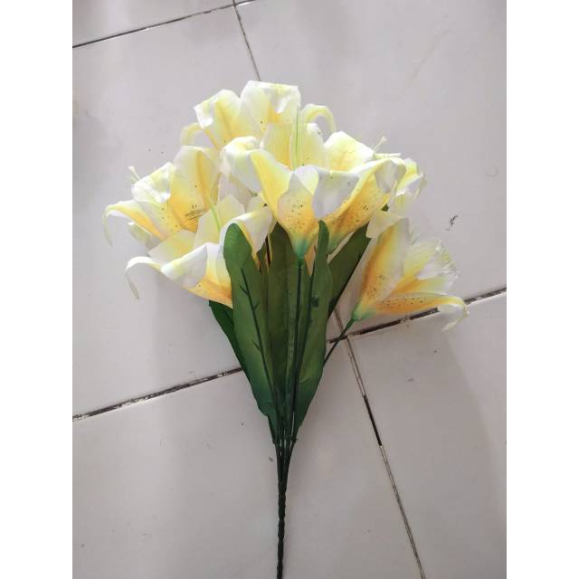 

Lylyum bintik b grup