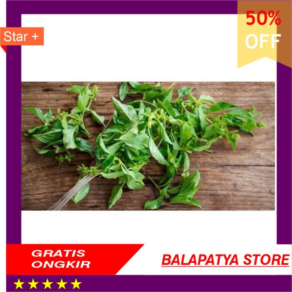 

TERLARIS !!! Daun kemangi 250 gr
