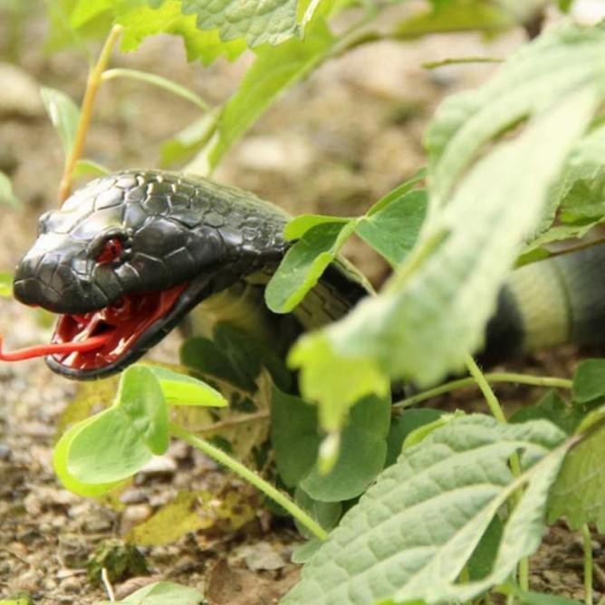 MAINAN ULAR COBRA REMOTE CONTROL MERAYAP KIRI KANAN RC