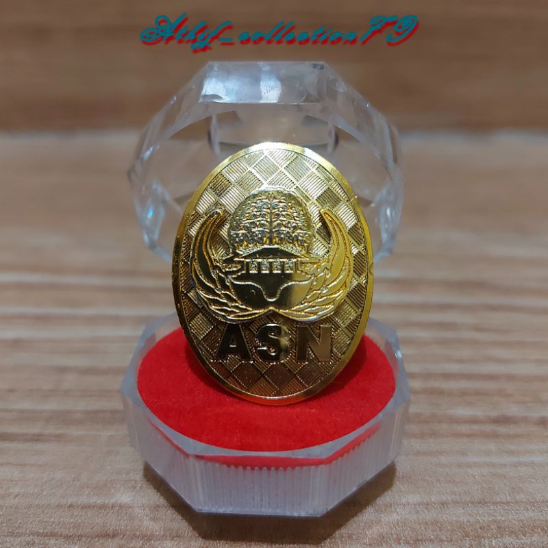 Pin Korpri Timbul Pin ASN Oval Timbul Kuningan Magnet + Box Pin