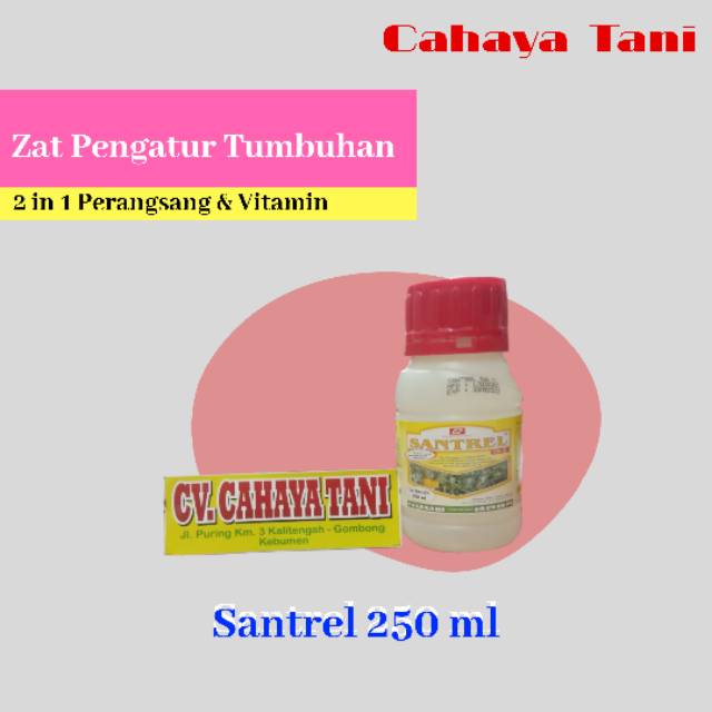 Santrel Zat Perangsang & Vitamin tumbuhan