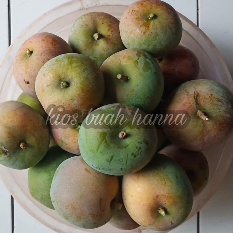 

Mangga Apel Mengkal 1Kg Fresh√