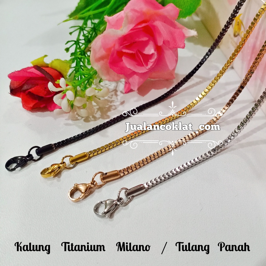 [[ 45-60cm ]] Milano / tulang panah HIGH QUALITY rantai kalung titanium stainless 316L / chain /lion