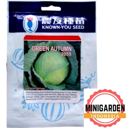 KUBIS HIJAU GREEN AUTUMN 20 GRAM PACK BESAR benih biji bibit green cabbage hibrida f1 known you seed