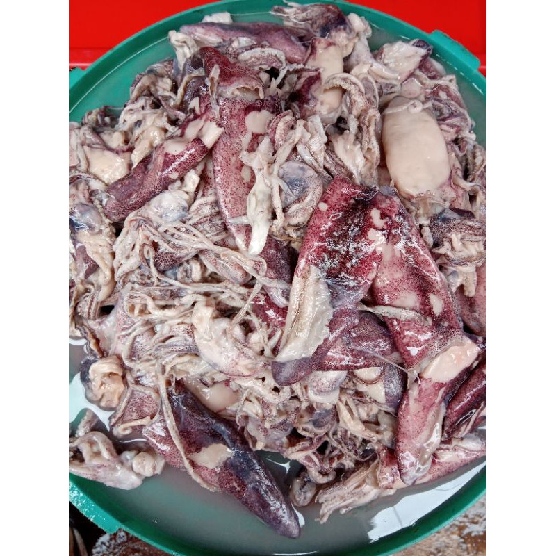 

Sotong Koi / Cumi Asin Basah 100g asli Pontianak