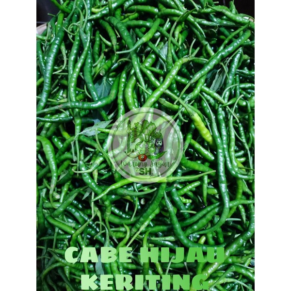 

CABE HIJAU KERITING | Green Curly Chili | Fresh Vegetables