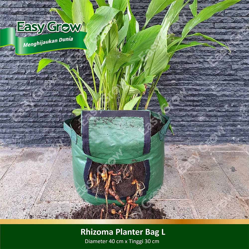 Easy Grow Rhizoma Planter Bag  - L