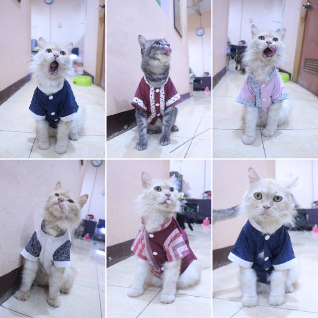 Baju kucing dropship pilih dulu sebelum memesan / baju kucing dan anjing murah size S-XL