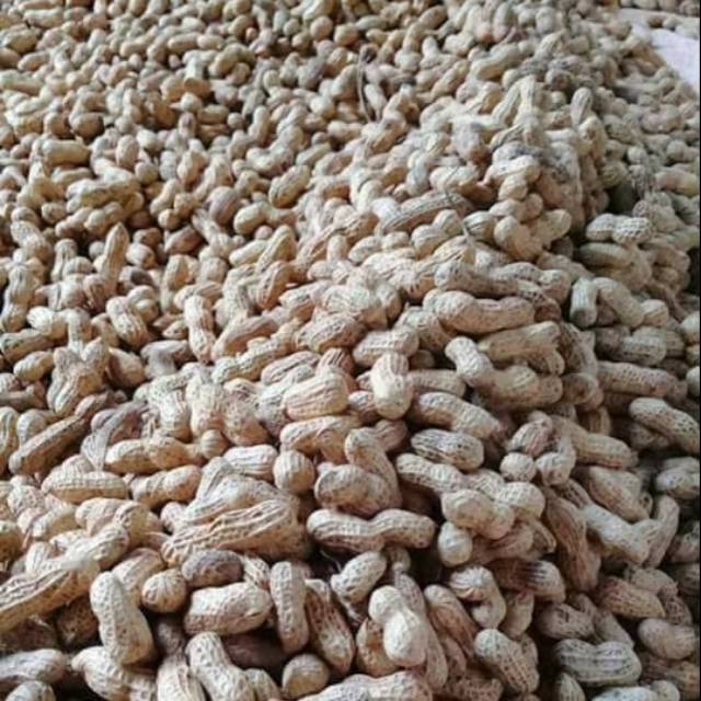 

Kacang Tanah Goreng Kreweng