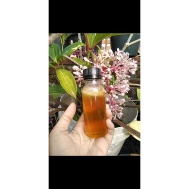 

MADU MULTIFLORA ASLI 100ML MURAH