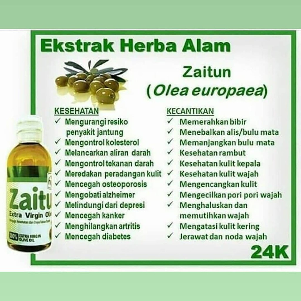 Minyak Zaitun Hni Hpai Extra Virgin Olive Oil Asli Utk Rambut Kecantikan Wajah Kulit Jantung Kanker Indonesia