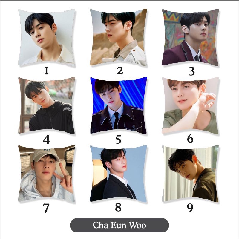 Bantal Aktor korea Hwang in yeop , Cha eunwoo , kim soo hyun , song kang