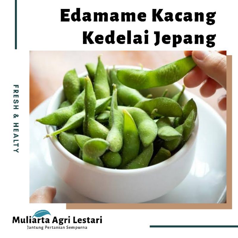 

Kacang edamame 1 kg super berkualitas