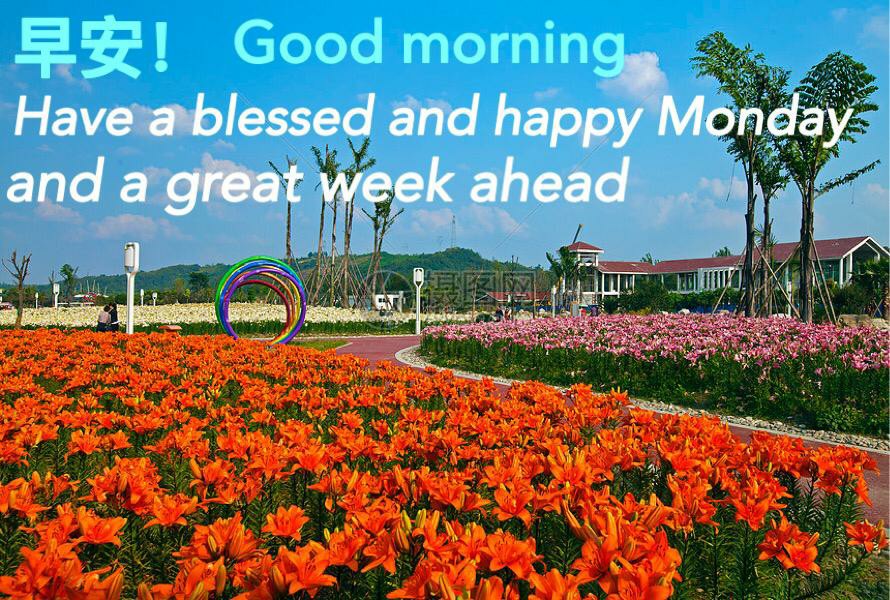 Tey-17 Batik Wanita Asj Sa Hrb026 Kenongo Kemeja Tosca Pendek