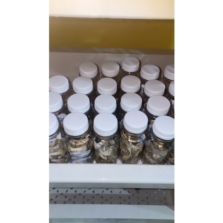 JAMU MPOT PUTIH HERBAL ASLI MADURA ORIGINAL