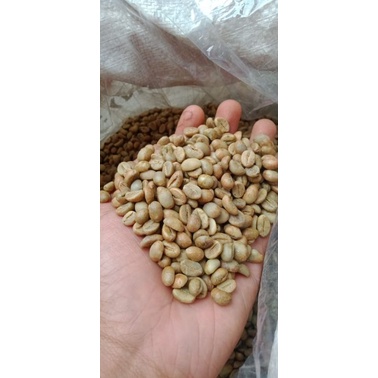 

Greenbean Robusta Natural Kopi Temanggung Petik Merah