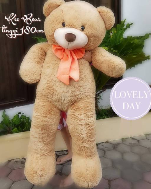 Boneka besar Kee Bear super Jumbo Camel