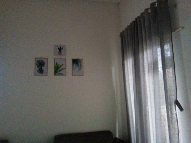 Wooden Projects Walldecor Tropical Hiasan Dinding Daun - Tpc1