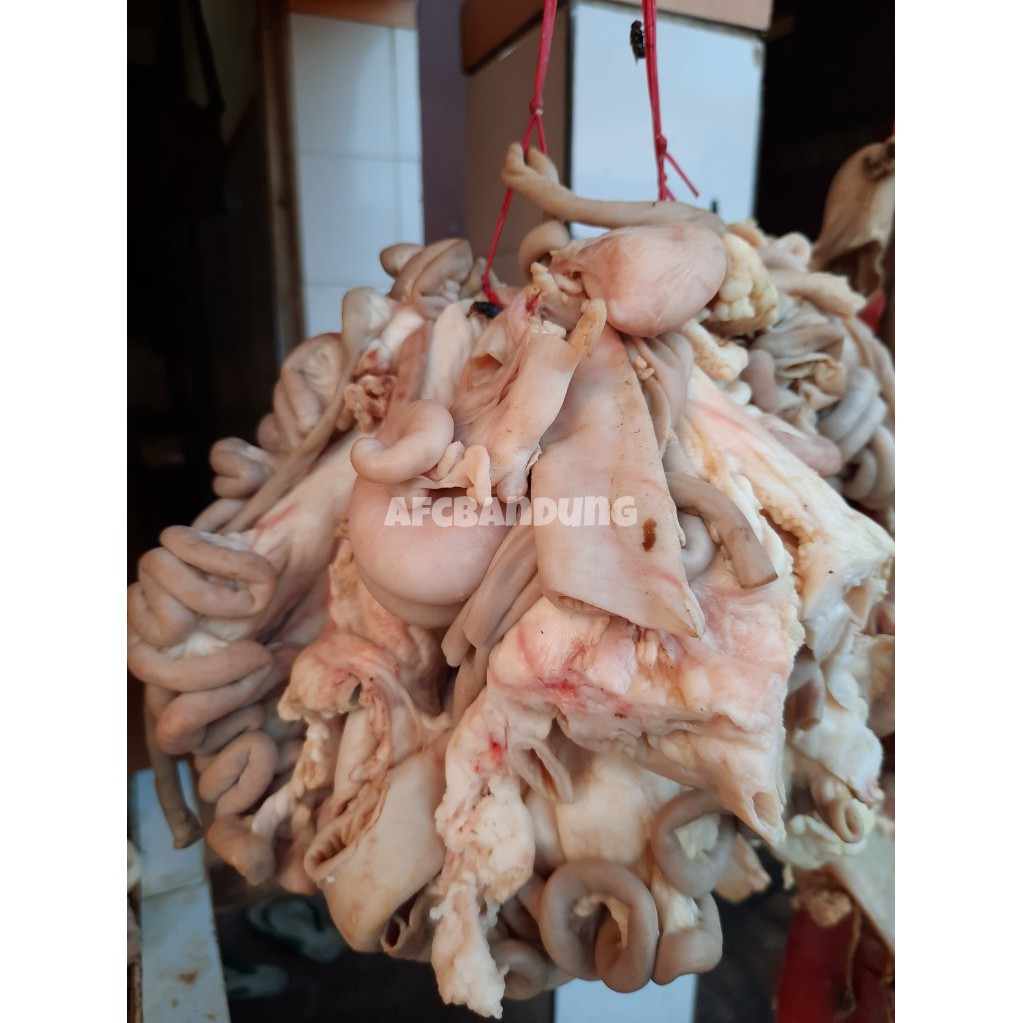 

Jeroan Kambing Muda Campur Bersih 500gr Jeroan Domba 1kg