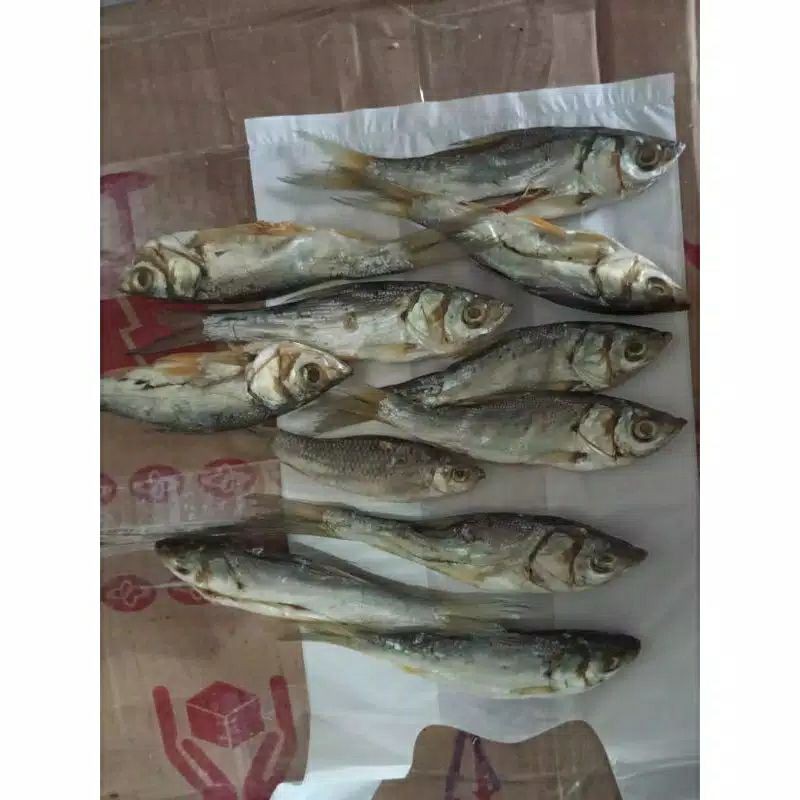 

Ikan Asin Nilem/Ho 1 Kg