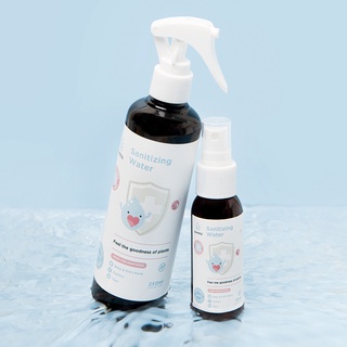 PURECO SANITIZING WATER REFILL 900ML