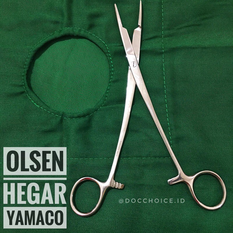 OlsenHegar