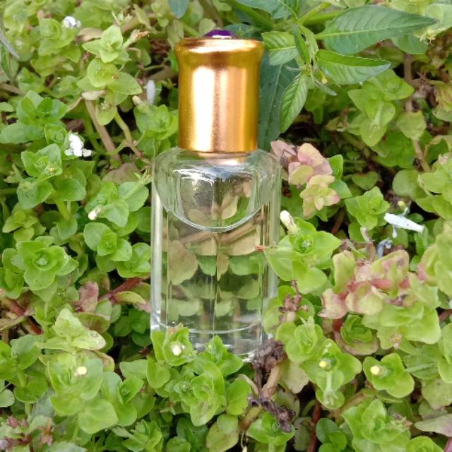 Minyak wangi cendana minyak cendana isi 10 ml