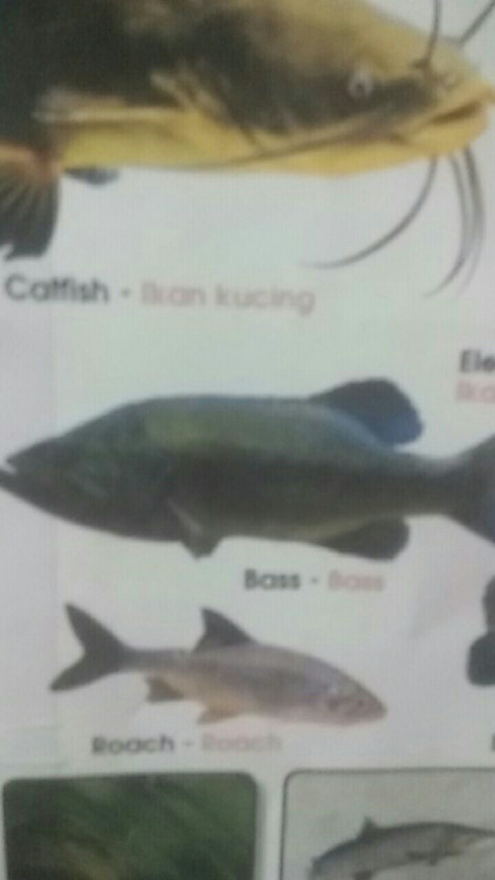 Couple Gamis Kombinasi Gamis Mewah Kualitas Oke Gamis Couple Batiktradisional Batik Sayfuul Fhasion