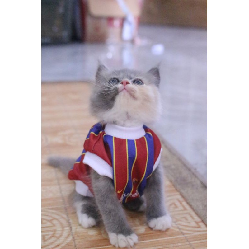 Jersey bola fc barcelona lucu untuk kucing dan anjing / baju kucing murah size S-XL